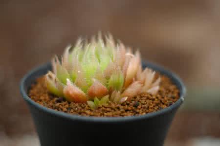 ¹ú¼ÒÄÜÔ´¾Ö£º±£ÕÏÃñÉú ºÏÀí½µµÍÇå½àȡů³É±¾