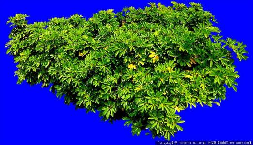 ӦԼһΪսҲޡ