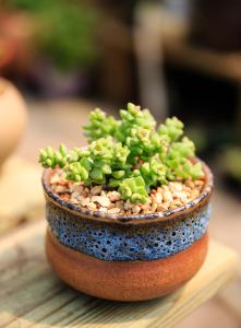 ECMO졢5GӦáҹͶЩҵ