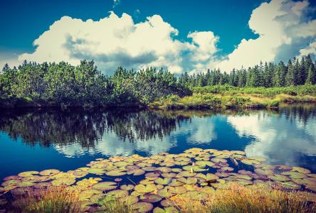 ƼʢĻ鴺ְ