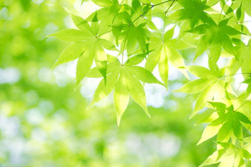 ȫIPOʶӽʷλ гǹĭ