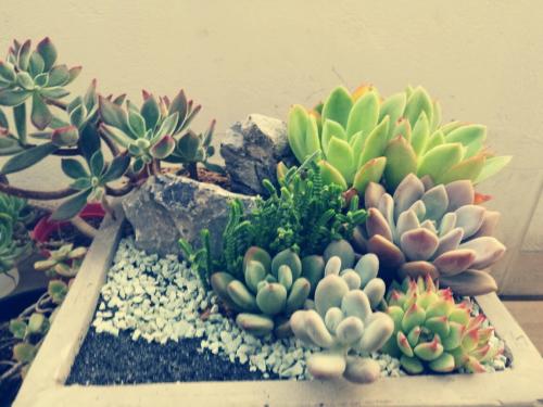 2025й·гüɽɽվѿǧẽ